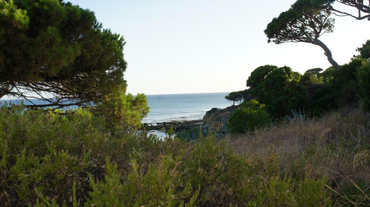 Luxurious T2 Apartment, Olhos Dagua Albufeira Buitenkant foto